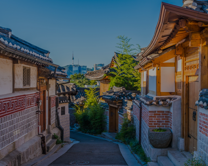 south korea customized