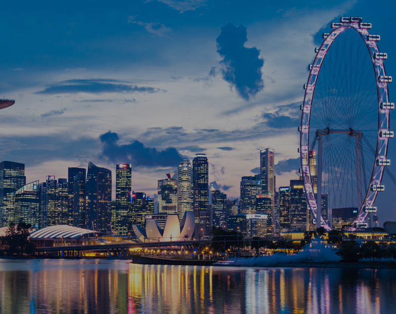 singapore malasiya customized