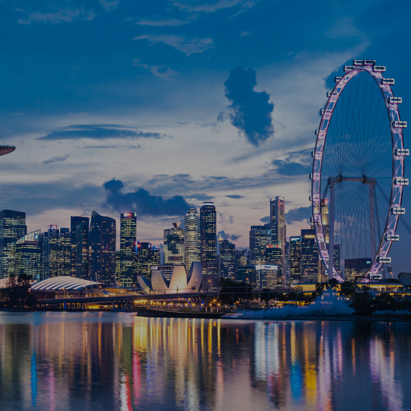 singapore malasiya customized