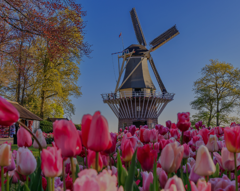 amsterdam customized