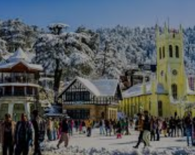 SHIMLA - MANALI