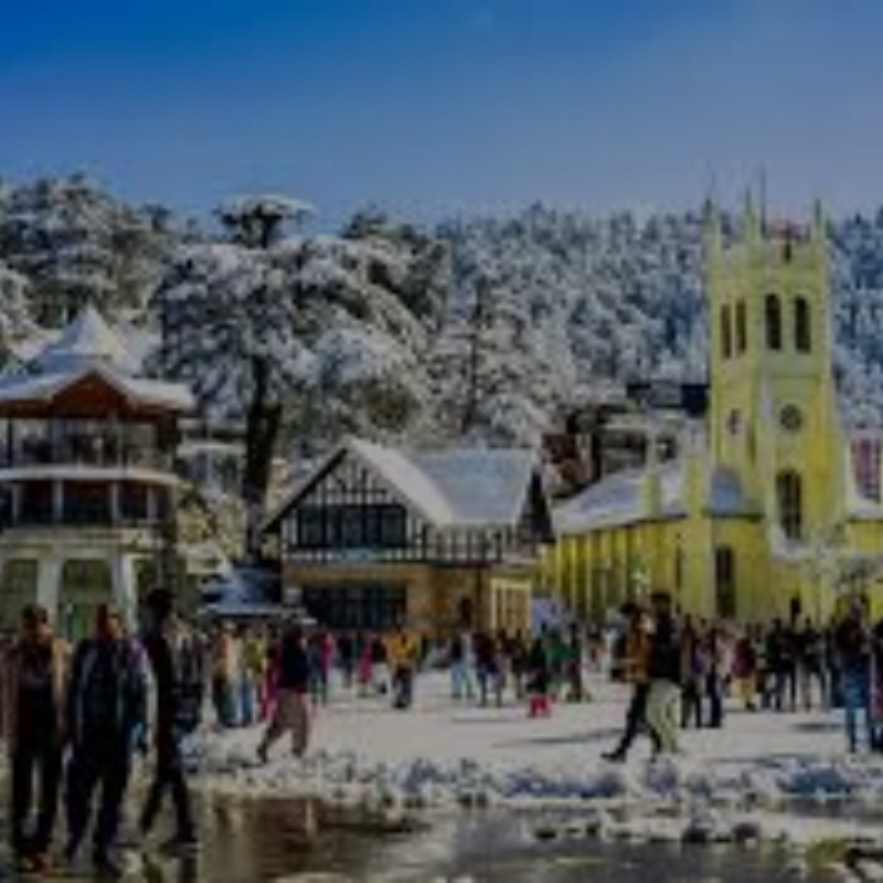 SHIMLA - MANALI