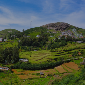 Ooty-Mysore