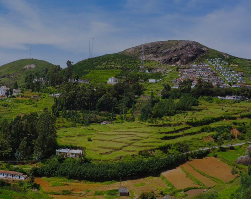 Ooty-Mysore