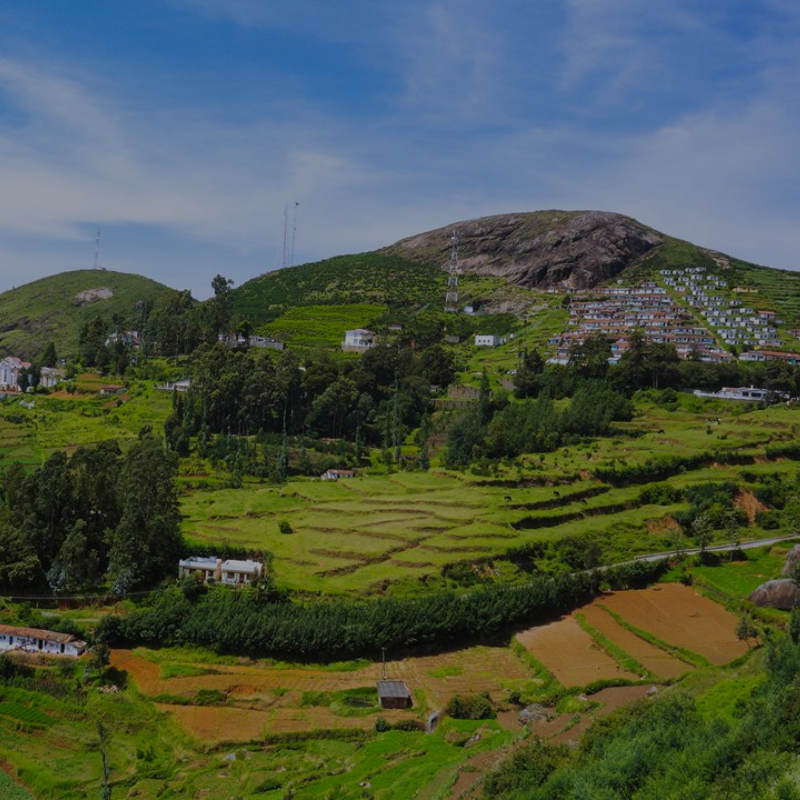 Ooty-Mysore